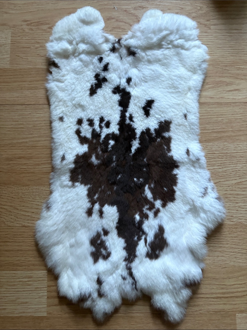 B0210 Rex rabbit hide
